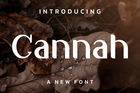 Cannah: A Modern Display Font That Builds Brand Trust